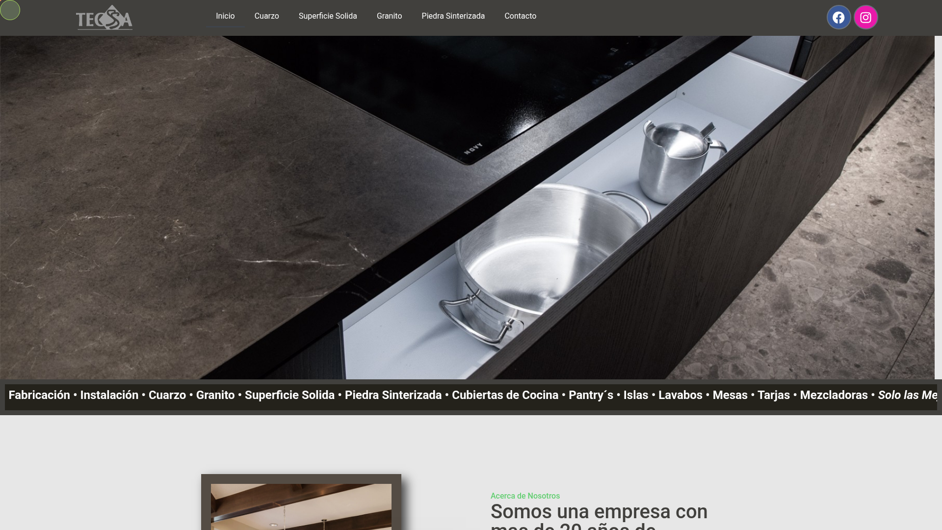 TECSSA Monterrey - Sitio Web + SEO